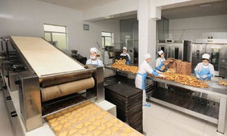 西安食品廠凈化車間規(guī)范要求與軟件開發(fā)前的潔凈車間設(shè)計(jì)關(guān)鍵點(diǎn)